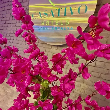 Casativo Отель *